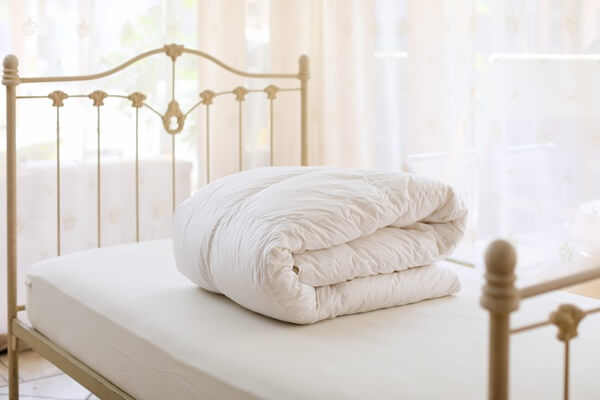 VARIO STYLE羽毛合掛ふとん