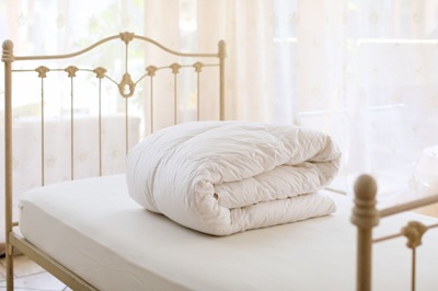 VARIO STYLE羽毛合掛ふとん